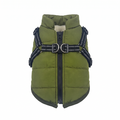 Ridgeline dog coat on a white background
