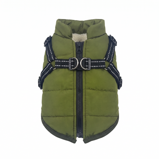 Ridgeline dog coat on a white background