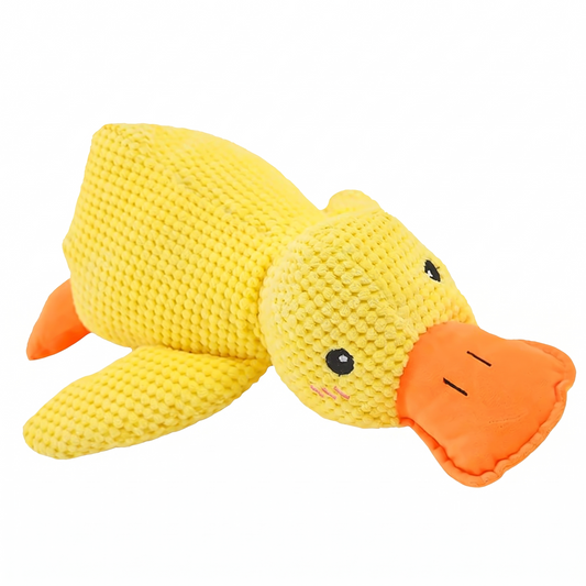 Quackers plush duck toy on a white background