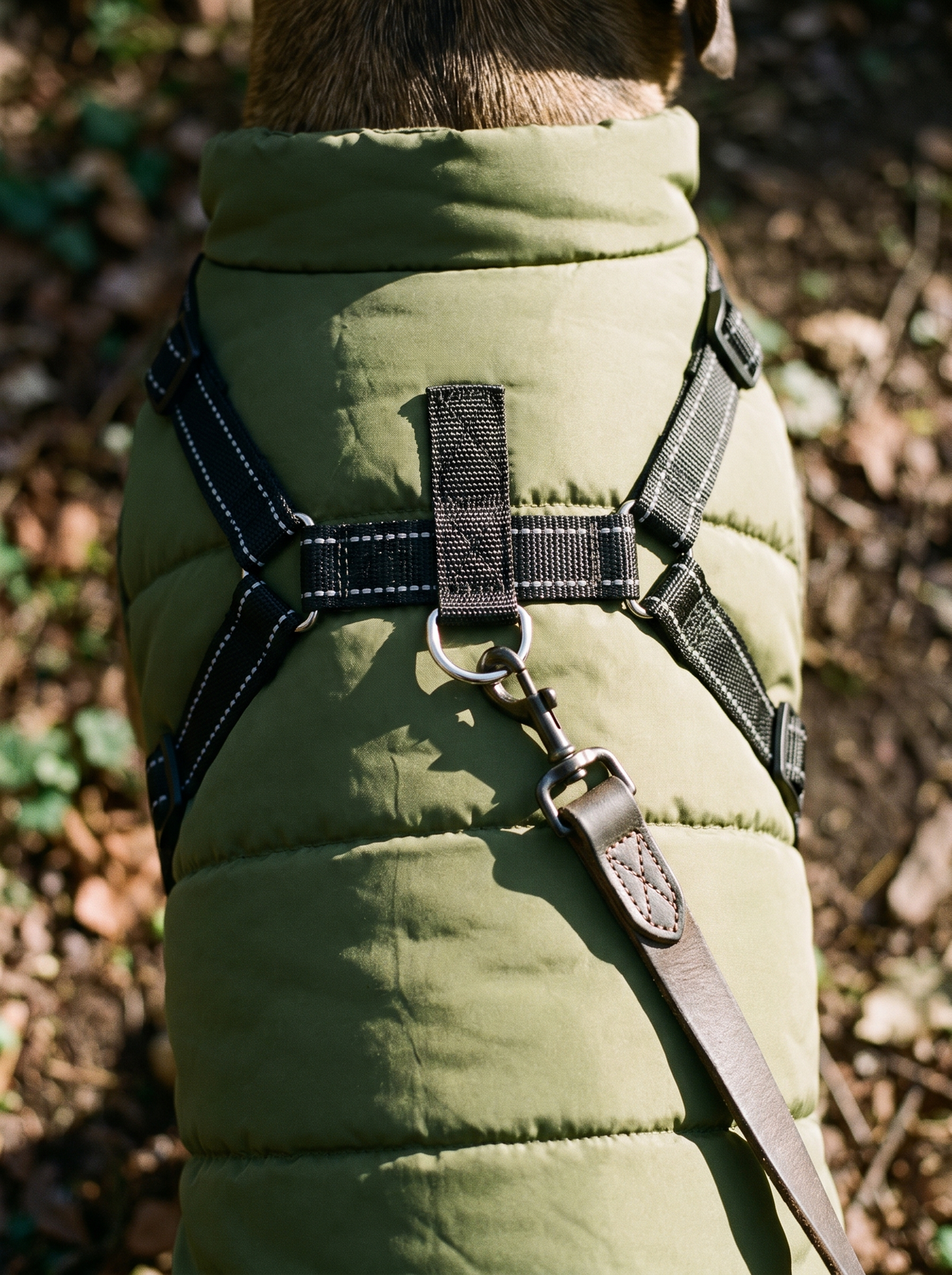 Close view of the built in harness and D ring on the Ridgeline coat
